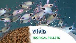 Vitalis Tropical Pellets