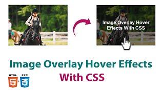 Image Overlay Hover Effects With CSS | CSS Overlay Effect