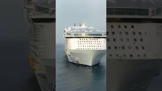 A Look At Wonder of the Seas #shorts