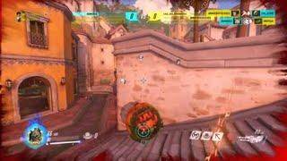 Hamster rollout