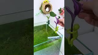 Just put this little gadget on the fish tank, and you can easily achieve #fish #aquarium #guppy