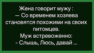 Как Бык И Лев Пошли По Девочкам!Сборник Свежих Смешных Анекдотов!Юмор!Настроение!