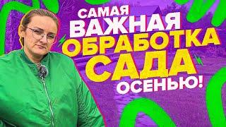 ГЛАВНАЯ ОСЕННЯЯ ОБРАБОТКА ДЕРЕВЬЕВ!