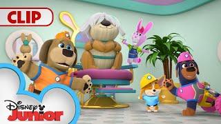 Luna's Hair Gets a Snip Snip Snip  | Pupstruction | @disneyjr