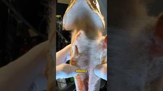 The Unique Art of Mold-Aged Tuna #shorts