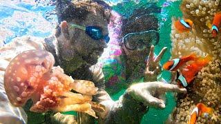 AMAZING UNDERWATER WORLD IN OUR PROVINCE OF SURIGAO DEL SUR | ISLAND LIFE