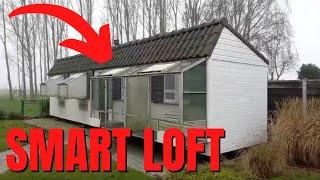 INSANE Racing Pigeon Loft Of Frans Maas (MUST SEE)