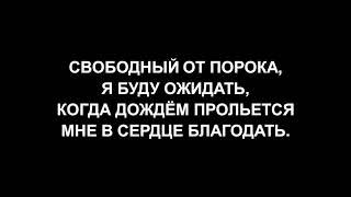 Прямая трансляция богослужения Москворецкой общины