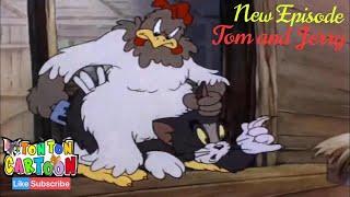 Tom and Jerry Cartoon | Big Chicken Protecting Jerry