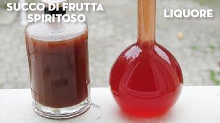 Liquore millefrutti + estratto di frutta spiritoso