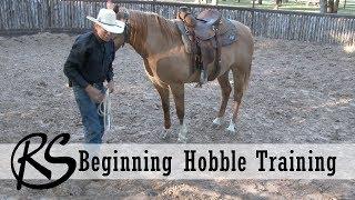 Hobble Training - Everyday Horsemanship