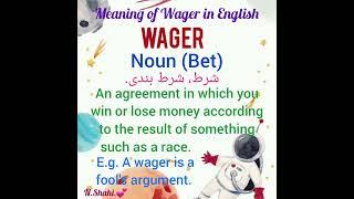 Meaning of Wager (Noun) in English 