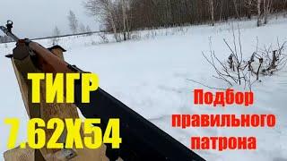 Карабин ТИГР 7.62х54. Подбор правильного патрона.