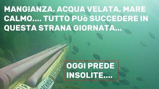 BASSOFONDO..LE SORPRESE NON MANCANO..la pesca meno pericolosa adatta a tutti.pesce assicurato️