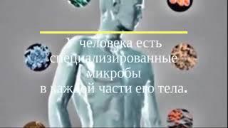 Микробиом. Что такое микробиом человека.