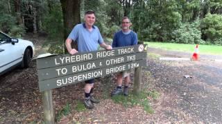 Tarra Bulga National Park 2013