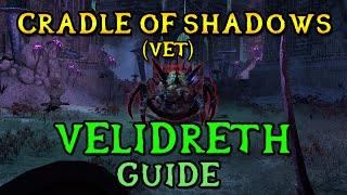 Veteran Cradle of Shadows Boss Guide - VELIDRETH | Final Boss (ESO Shadows of the Hist)