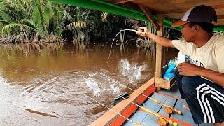 Rejeki Nomplok... Dapat ikan super mahal ketika mancing udang galah di sungai.