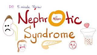 Nephrotic Syndrome | Five  Minute Review!