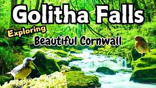 Golitha Falls Cornwall | A beautiful woodland walk