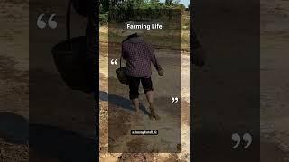 Farmer Planting Seeds | Planting Hope, Not Just Crops