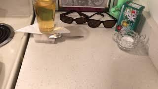 The Rhoda Stone Show-eBay,$1 Food Items & Dehydrating Chicken & Beef
