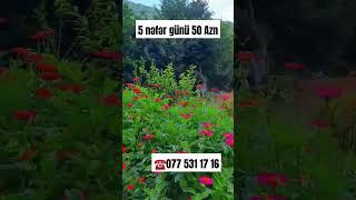Lerik kirayə ev #lerik #kirayəevlər #lənkəran #təbiət