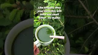 How to make a green smoothie that actually tastes good - what they don’t tell you!