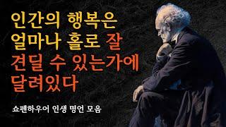 행복은 얼마나 홀로 잘 견딜 수 있는가에 달려있다 | 쇼펜하우어 인생 명언 모음