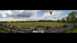 Hawk Conservancy Trust - A Year of Reg's Meadow