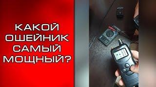 Какой электронный ошейник выбрать?