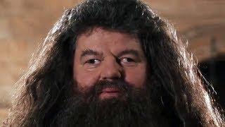 MAD HAGRID