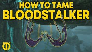 How To Tame a BLOODSTALKER on ARK! | EASIEST Way | ARK: Survival Evolved