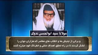 ‫نظر مولانا سید ابوالحسن ندوی در مورد انقلاب اسلامی ایران  و وحدت شیعه وسنی