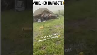 Лучше, чем на работе #shorts