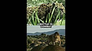 Smilodon Populator VS Smilodon Fatalis #shorts #smilodon #sabertoothtiger