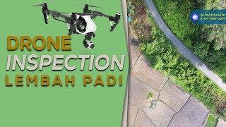 Musim tanam padi sawah di Sumatera Barat (from drone)