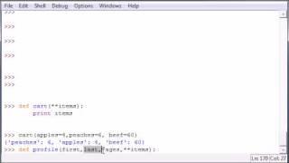 Python Programming Tutorial - 30 - Parameter Types