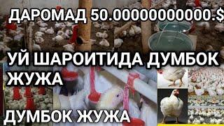 УЙ ШАРОИТИДА ДУМБОК ЖУЖА БРОЛЛЕР БОКИШ .ДАРОМАД 50.0000000$