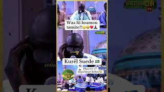 kurel suede