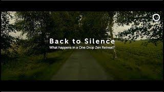 Back to Silence / What happens a One Drop Zen Retreat?