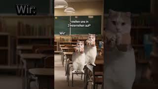 POV: Feueralarm in der Schule #katzenvideos #katze #lustig #shorts #schule