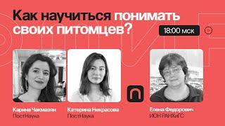 Человек собаке друг? Как научиться понимать своих питомцев / Елена Федорович на ПостНауке