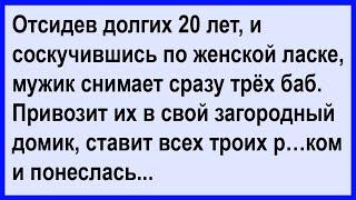 После 20 лет отсидки, мужи снимает сразу трёх женщин... Сборник! Клуб анекдотов!