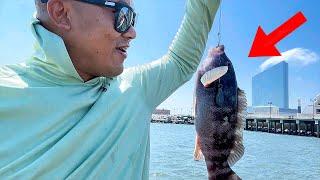 Atlantic City Fishing JACKPOT - Keeper Blackfish and Flounder Success - New Jersey