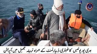 Big Fish Hunting in Tarbela Dam [ Khyber Pakhtunkhwa Police Action Against illegal Fish Hunters