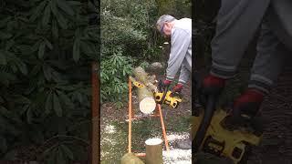 Electric chainsaws are rubbish!