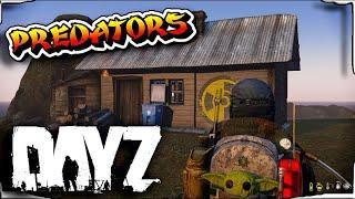 Вечерний добрый Дейз | PREDATORS | Медиум сервер #shorts #dayz