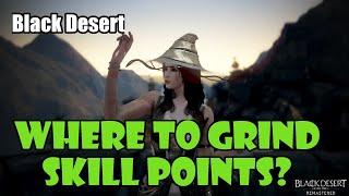 [Black Desert] Best Locations to Grind / Farm Skill Points as a New Player!