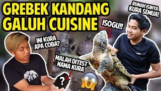 GREBEK SEMUA KOLEKSI HEWAN GALUH CUISINE TERLENGKAP! RUMAH KOK ISINYA KURA SEMUA! #GREBEKKANDANG